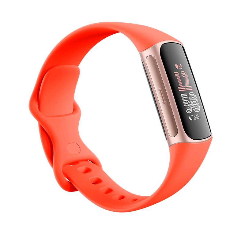 Fitbit Charge 6 Price in Kenya- LinkPhones Center 