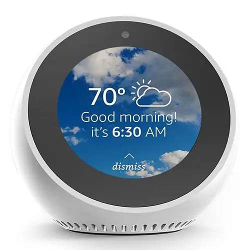 Amazon Echo Spot Price in Kenya- Linkphones Center 
